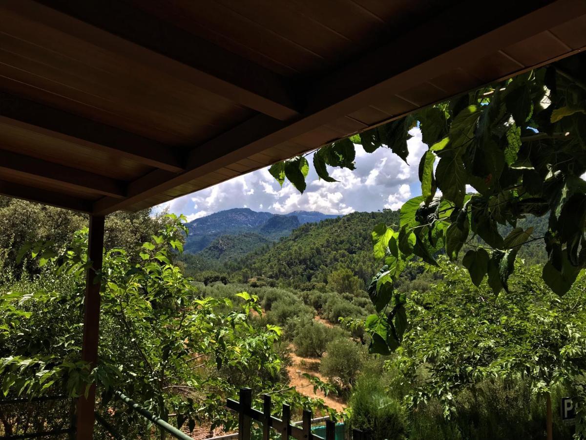 Alojamientos Loma De Mariangela Coto Rios Luaran gambar